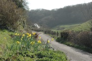The valley