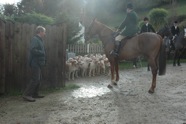 Waiting for the off