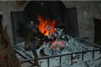 Log fire